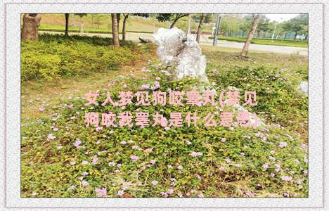 女人梦见狗咬睾丸(梦见狗咬我睾丸是什么意思)