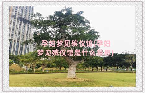 孕妇梦见殡仪馆(孕妇梦见殡仪馆是什么意思)