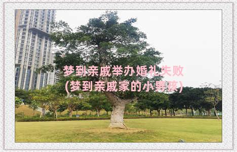 梦到亲戚举办婚礼失败(梦到亲戚家的小男孩)