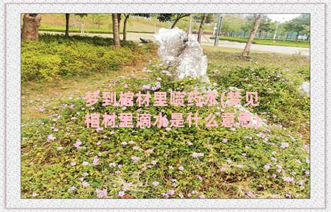 梦到棺材里喷药水(梦见棺材里滴水是什么意思)