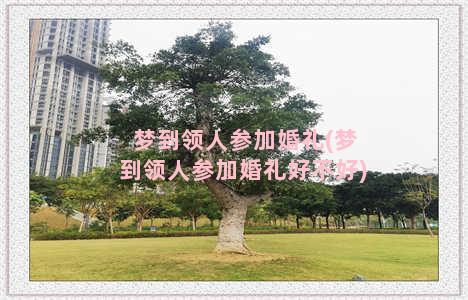 梦到领人参加婚礼(梦到领人参加婚礼好不好)