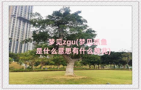 梦见zgu(梦见抓鱼是什么意思有什么预兆)