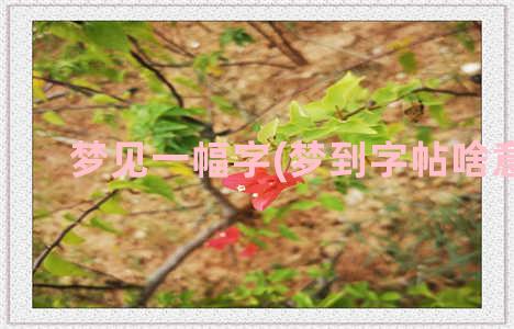 梦见一幅字(梦到字帖啥意思)