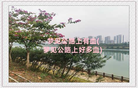 梦见公路上有血(梦见公路上好多血)