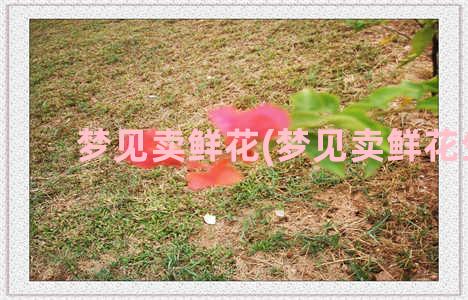 梦见卖鲜花(梦见卖鲜花生)