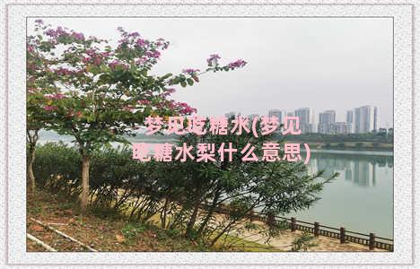 梦见吃糖水(梦见吃糖水梨什么意思)