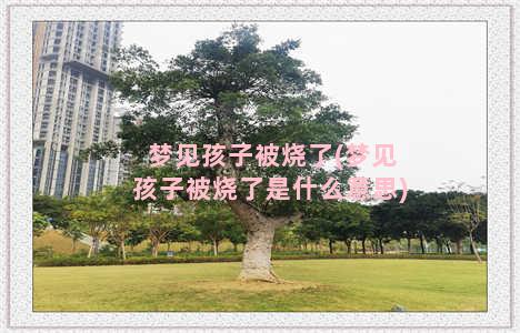 梦见孩子被烧了(梦见孩子被烧了是什么意思)