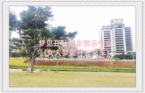 梦见开公交车预示什么(女人梦见开公交车)