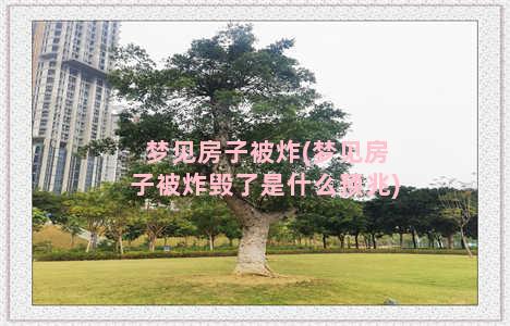 梦见房子被炸(梦见房子被炸毁了是什么预兆)