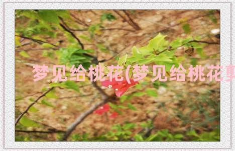 梦见给桃花(梦见给桃花剪枝)